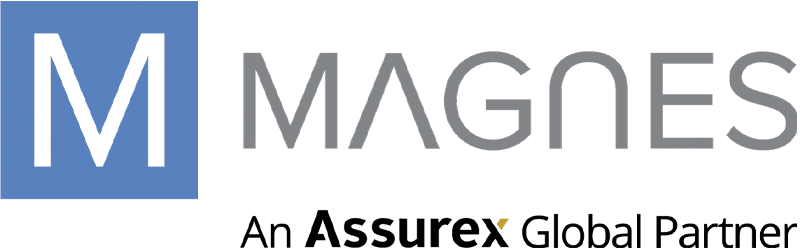 The Magnes Group - Logo 800